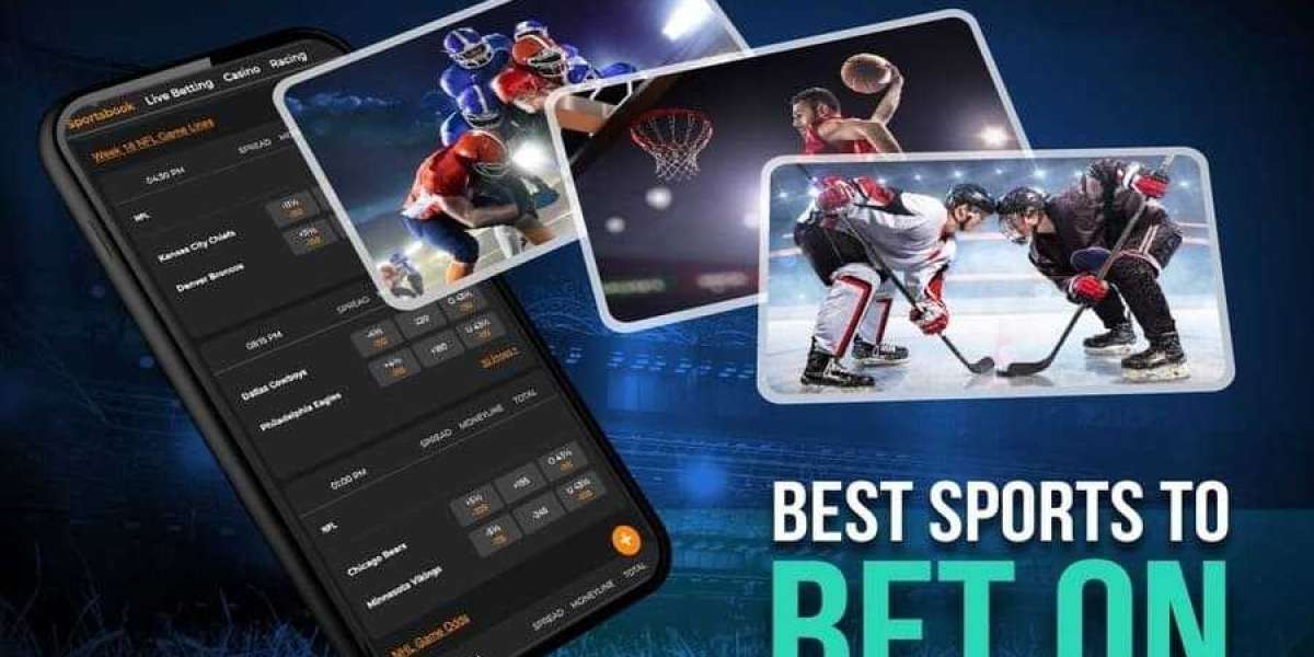 The Ultimate Guide to Sports Betting